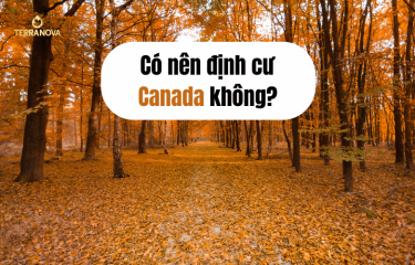 CÓ NÊN ĐỊNH CƯ CANADA KHÔNG? 9+ LỢI ÍCH KHI ĐỊNH CƯ CANADA